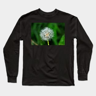 Dandy Puff Long Sleeve T-Shirt